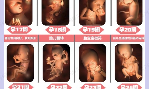 孕妇吃包谷有什么功效网 | 孕妇吃包谷有什么好处,孕妇控糖吃包谷饭会升糖吗